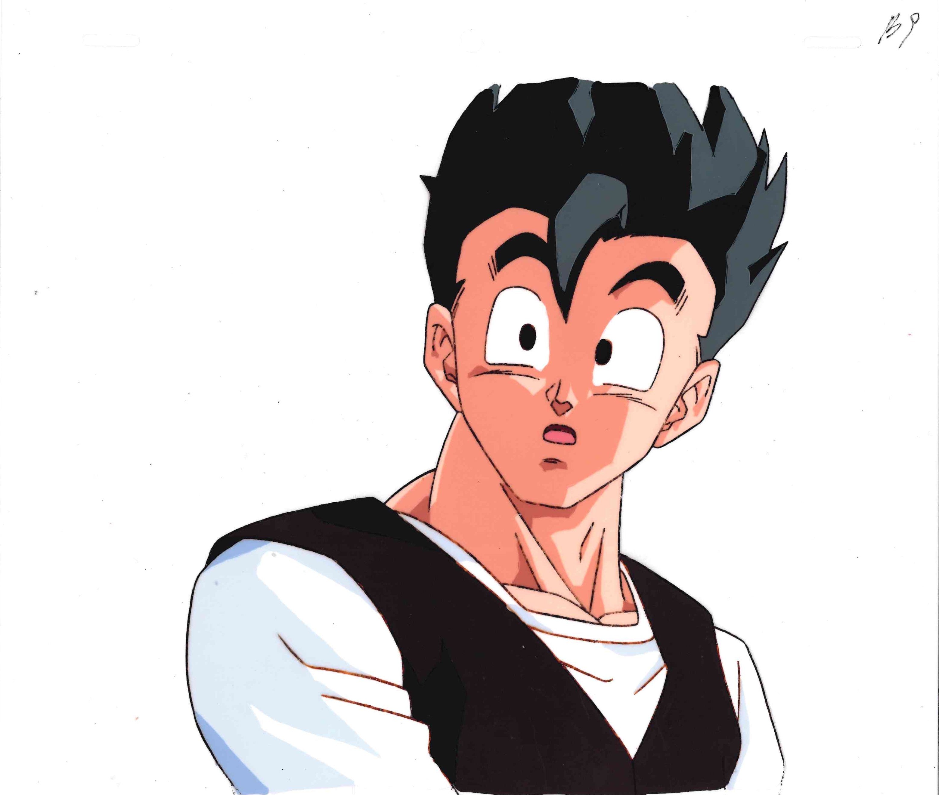Dragon Ball Z Original Cel and Drawing (Son Gohan)