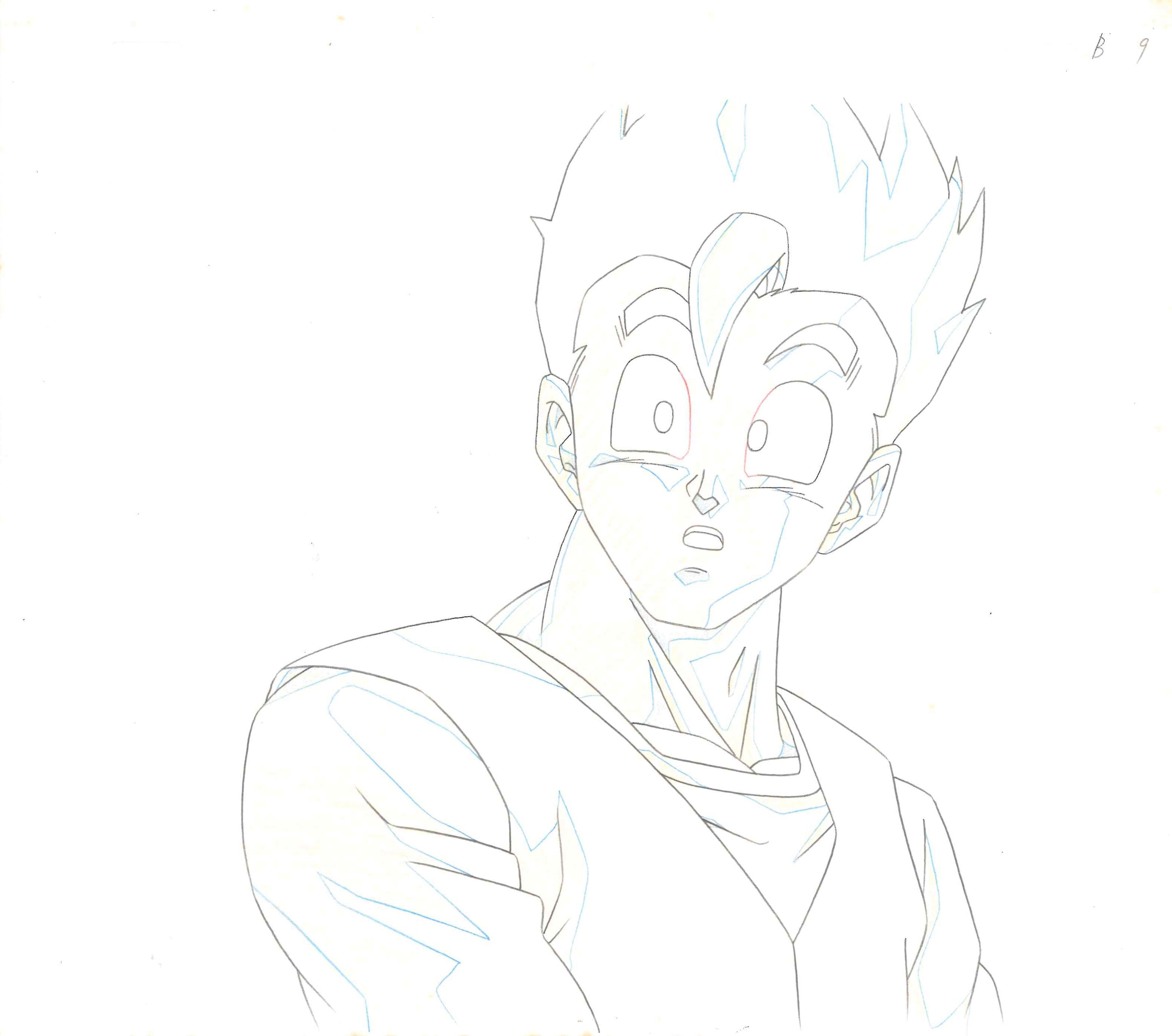 Dragon Ball Z Original Cel and Drawing (Son Gohan)