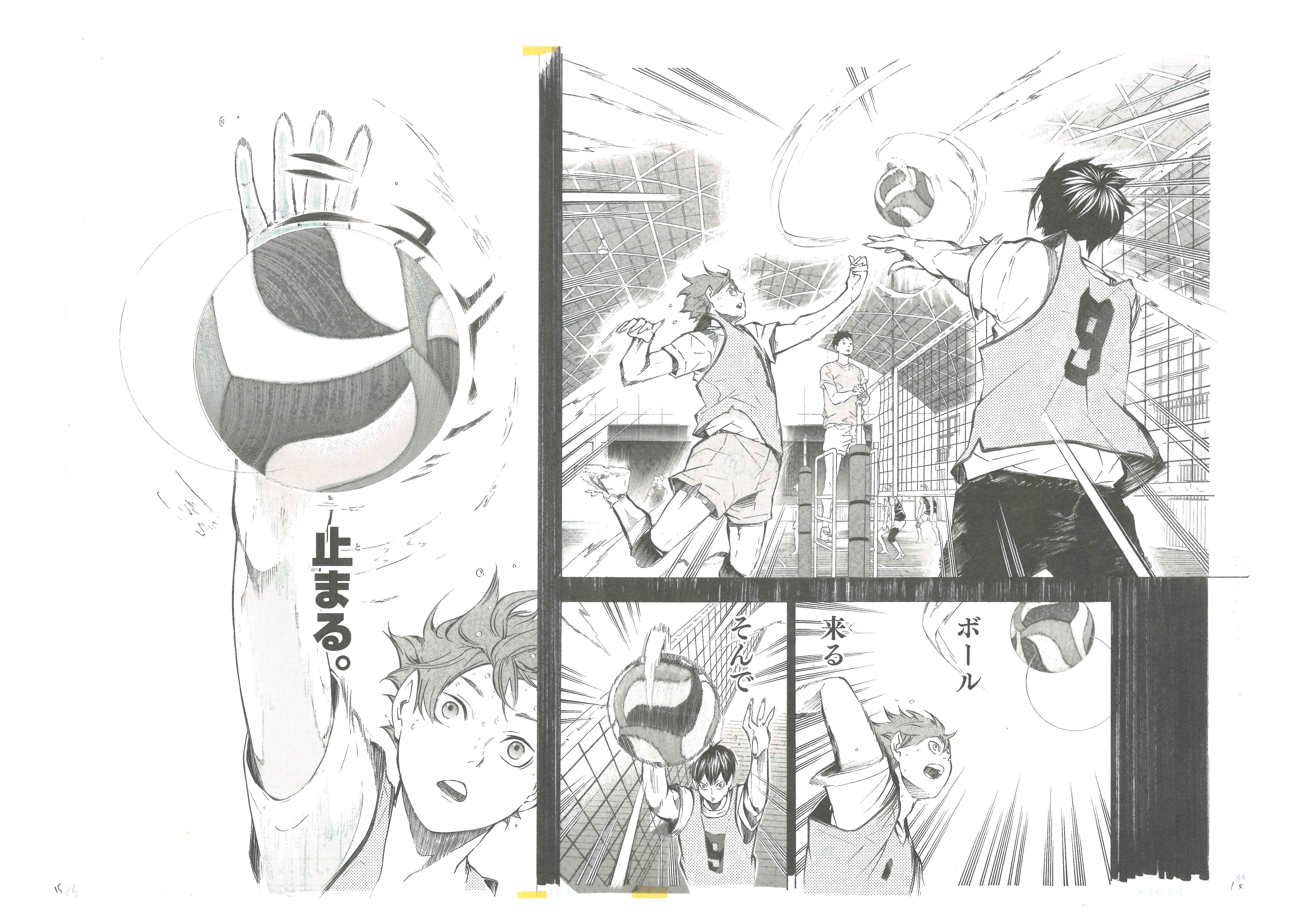 Haikyuu Limited Reproduction (Hinata smash)