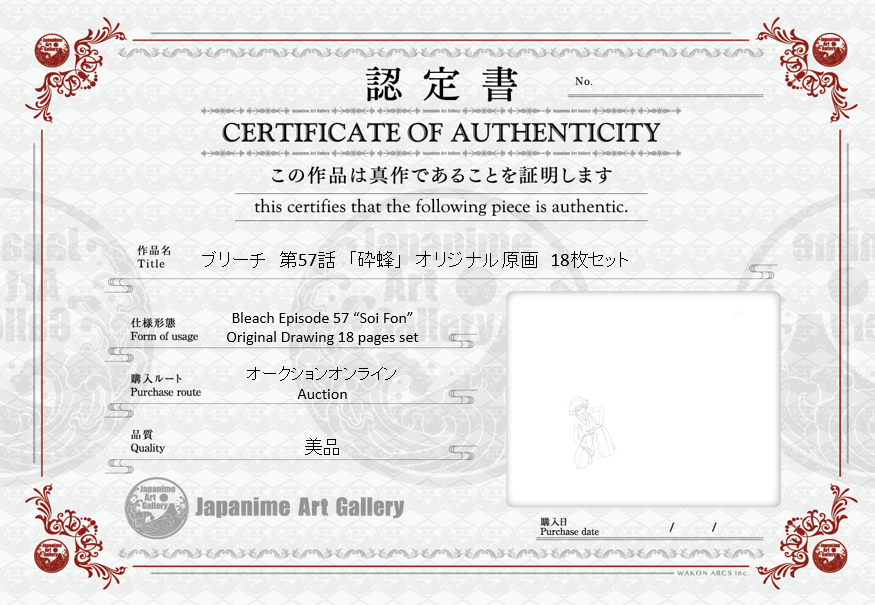 Bleach Original Drawing 18 pages (Soi Fon)