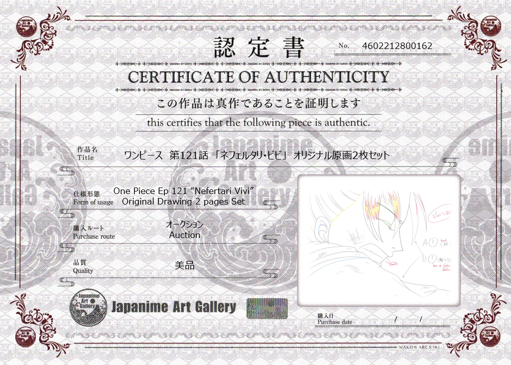 One Piece Original 2 Page Drawing (Vivi)