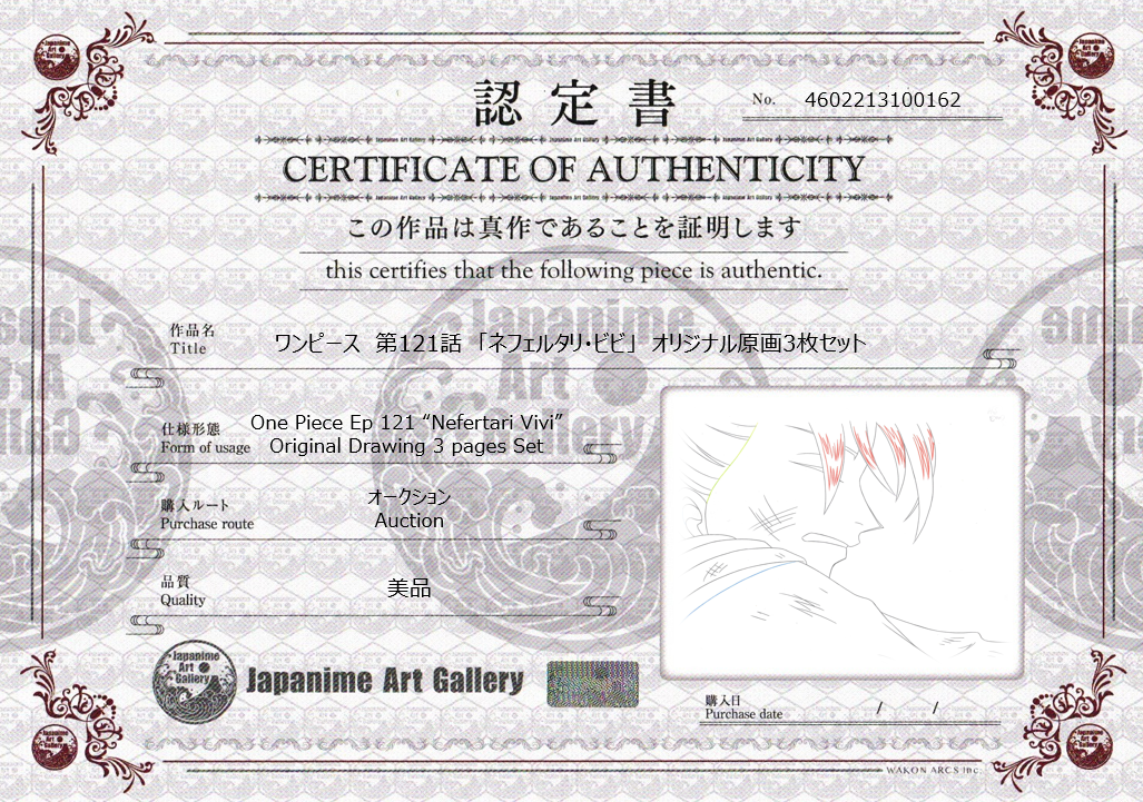 One Piece Original 3 Page Drawing (Vivi)