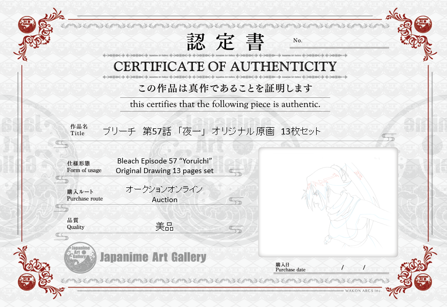 Bleach Original Drawing 13 pages (Yoruichi)